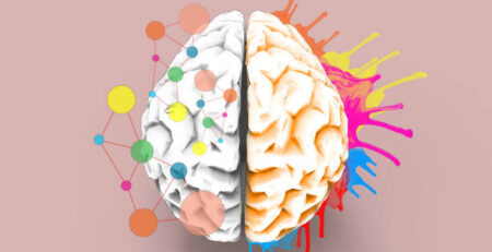 Brain left and right creativity functions Sketch concept / Illustration