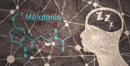 melatonin graphic